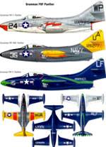 El Grumman F9F Panther (pantera) fue el primer caza a reacci&oacute;n de la compa&ntilde;&iacute;a y el segundo de la US Navy (Marina de los Estados Unidos).