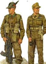 Ejercito Italiano en Italia 1940-1943