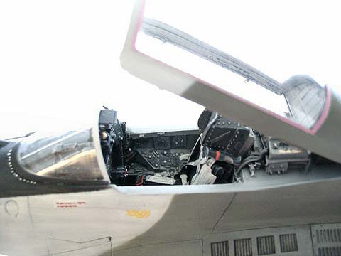 MiG-29 Fulcrum - Escala 1/48