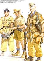 Afrika Korps 1941-1943