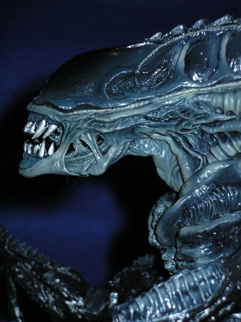 Aliens - Escala 1/6.  