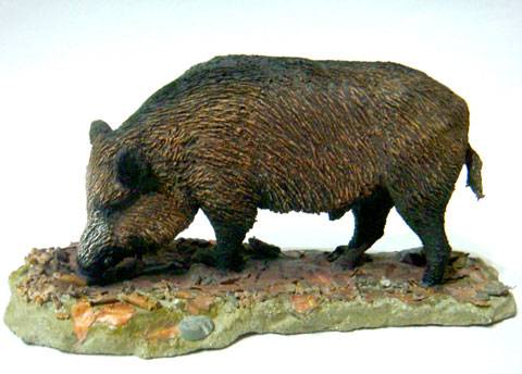 Jabal&iacute; (Sus scrofa)