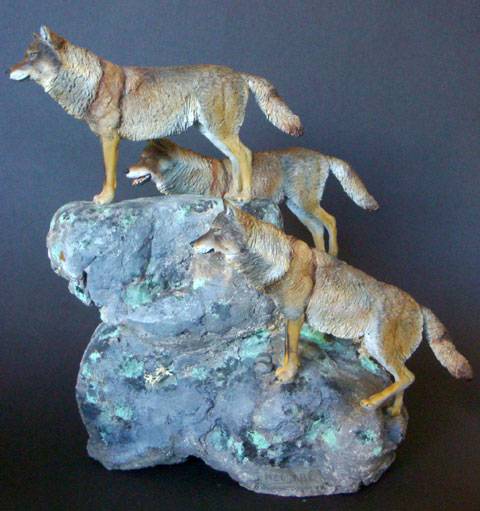 Lobo ib&eacute;rico (Canis lupus signatus)