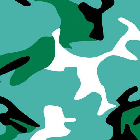 camo acuatico