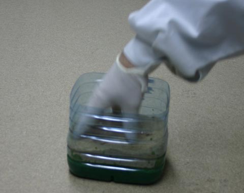 Tutorial de Preparacion de Cesped Casero para Maquetas