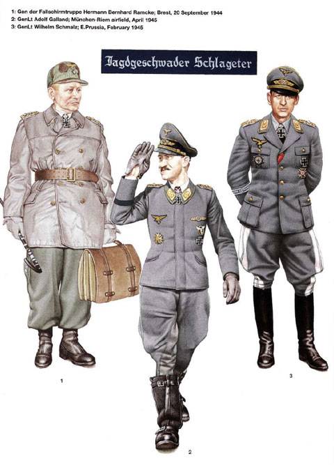 L&aacute;minas pertenecientes a los Generales y Comandantes del Reich durante la 2&ordf; Guerra Mundial. (German Commanders of World War II)  Waffen-SS, Luftwaffe y Navy. 