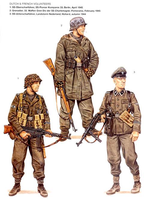 Voluntarios Alemanes y Franceses. 