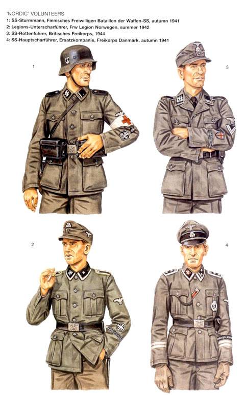 Voluntarios Nordicos. 