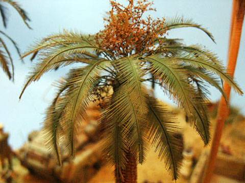 Diorama a escala 1/35 que representa a un grupo de soldados del Dak en el norte de Africa, descansando y reponiendo fuerzas en un Oasis.