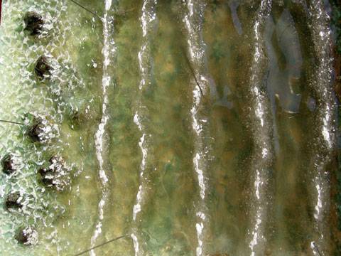 El ultimo toque a las olas se le da aplicando La resina para modelismo