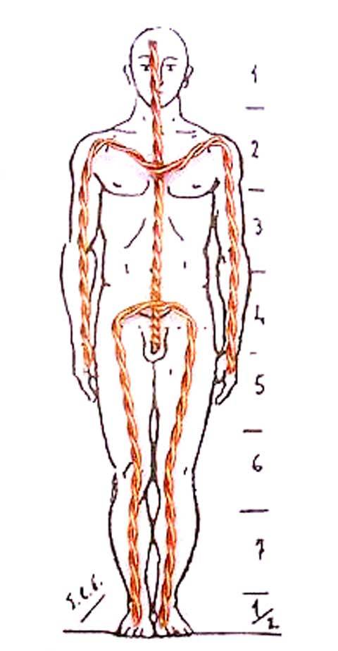 Con hilo de cobre formamos el esqueleto siguiendo de forma exacta el contorno de la figura - Paso 1 