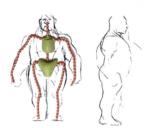 Como en todas las figuras que modela lo primero que hace es construir un maniqui, para ello reduce un dibujo de una anatomia con el Photoshop y la pone al tama&ntilde;o deseado