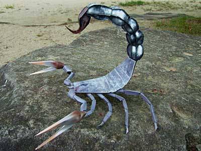 Recortable de Papel de un Escorpion para usarlo con nuestras figuras de Warhamer  2