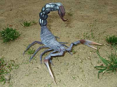 Recortable de Papel de un Escorpion para usarlo con nuestras figuras de Warhamer  
