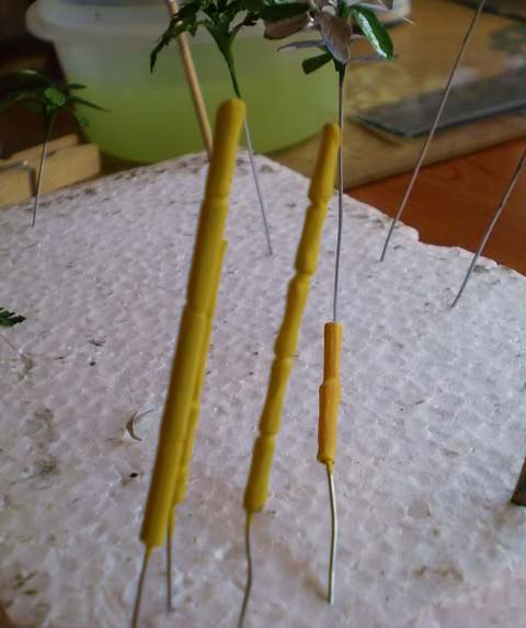 Tutorial para la Fabricacion de Ca&ntilde;as de Bambu. 