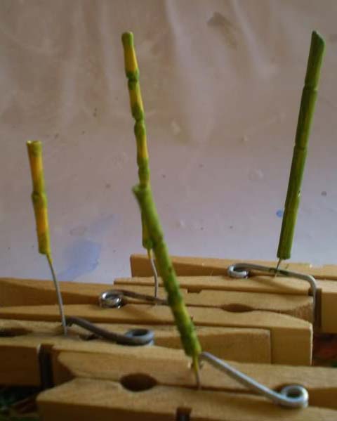 Tutorial para la Fabricacion de Ca&ntilde;as de Bambu. 