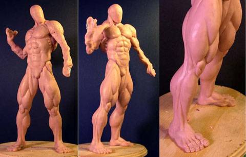 Modelado de los Musculos