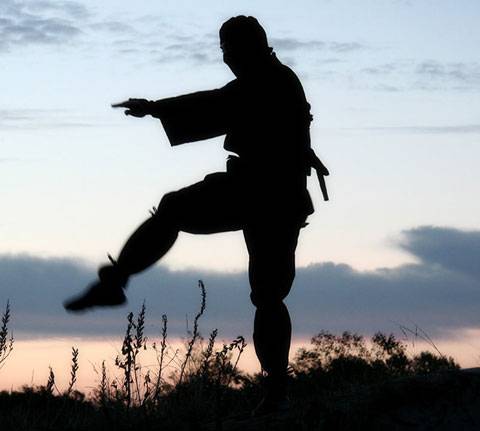 ninja practicando artes marciales
