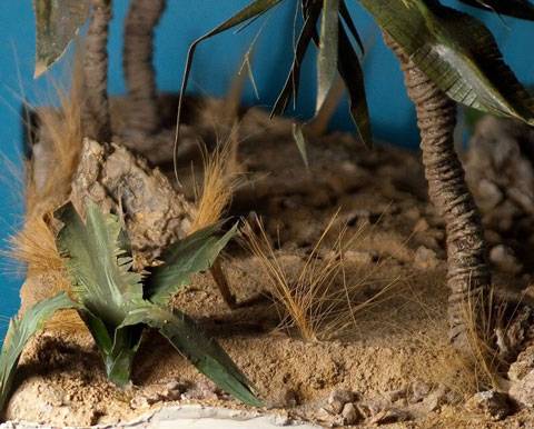 Tutorial para la creacion de un Palmera. 