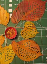 Tutorial para la Fabricacion de Hojas de arboles a Medida