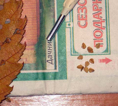 Tutorial para la Fabricacion de Hojas de arboles a Medida