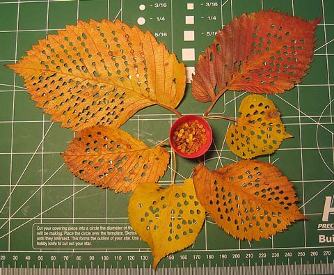 Tutorial para la Fabricacion de Hojas de arboles a Medida