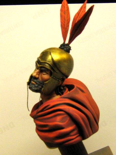 Busto Princep Romano.