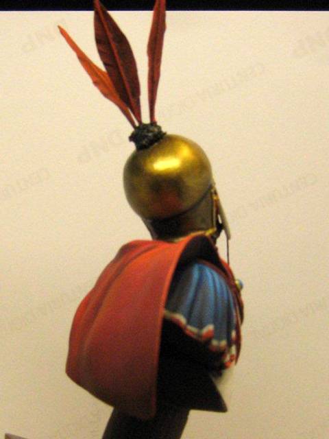 Busto Princep Romano.