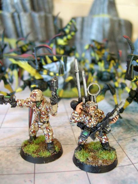tableros de wargame creados por los aficionados al juego de Starship Troopers