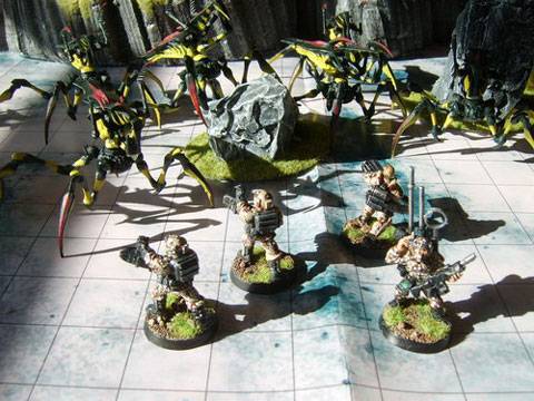 tableros de wargame creados por los aficionados al juego de Starship Troopers