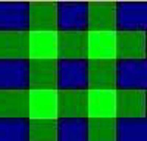 Tecnica de Pintura Tartan Cameron of Erracht