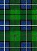 Tecnica de Pintura Tartan Douglas