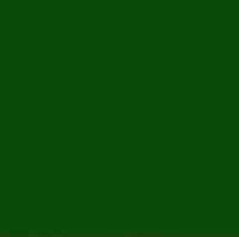 Tecnica de Pintura Tartan Hunting Stewart.  