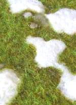 La obra en concreto que tenemos en foto es un Terreno Nevado en fase de deshielo 
