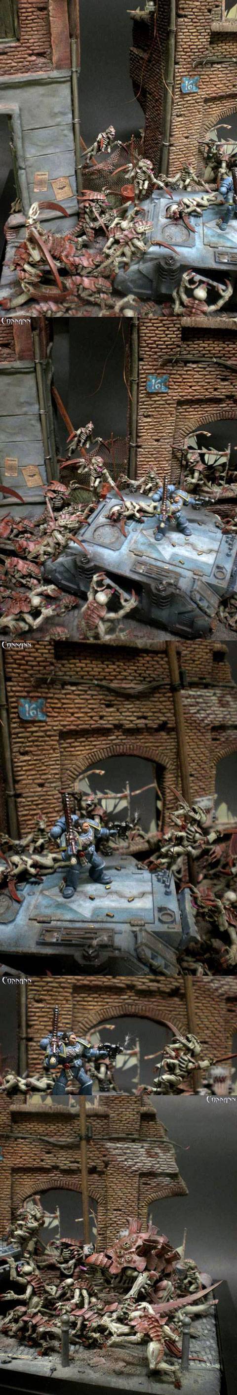 el enfrentamiento que tuvieron en el Planeta Tarsis Ultra los Ultramarines (Marines Espaciales) contra los letales Tir&aacute;nidos. 
