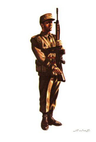 FUERZAS REGULARES - 1976